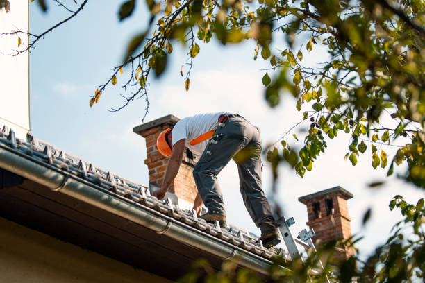 Roof Waterproofing Services in Temperance, MI