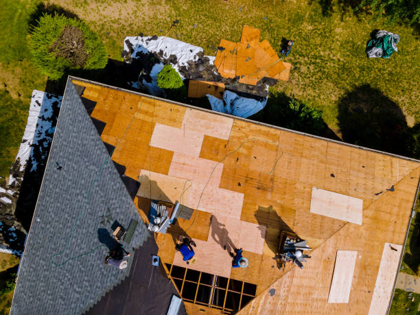 Best Storm Damage Roof Repair  in Temperance, MI