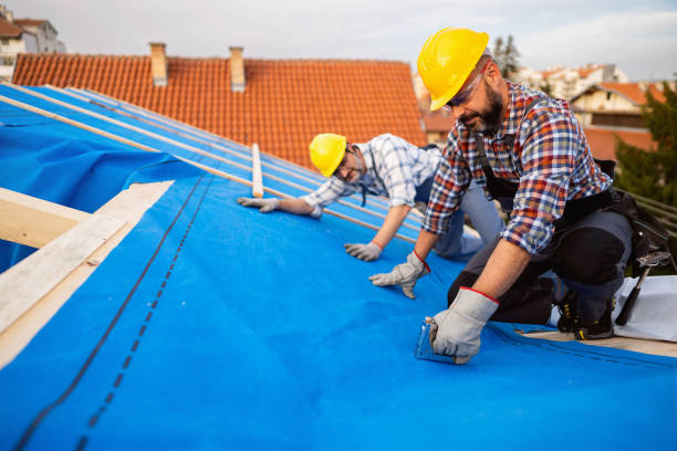 Best Roof Replacement Cost  in Temperance, MI