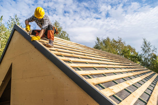 Best Roof Waterproofing Services  in Temperance, MI