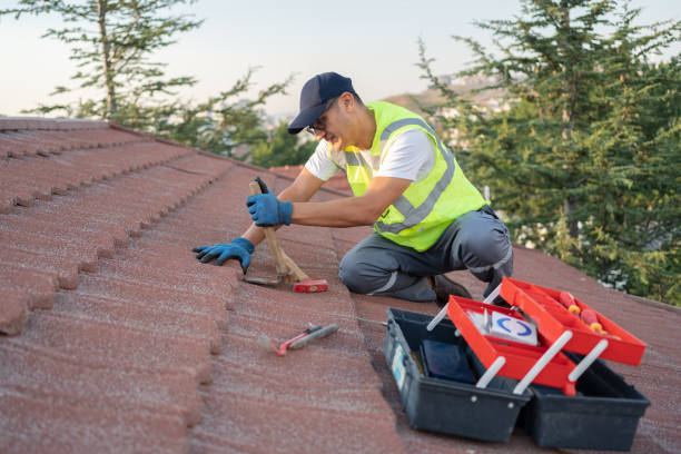 Best Metal Roofing Contractor  in Temperance, MI
