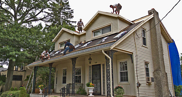 Best Affordable Roofing Company  in Temperance, MI