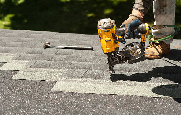 Best Storm Damage Roof Repair  in Temperance, MI