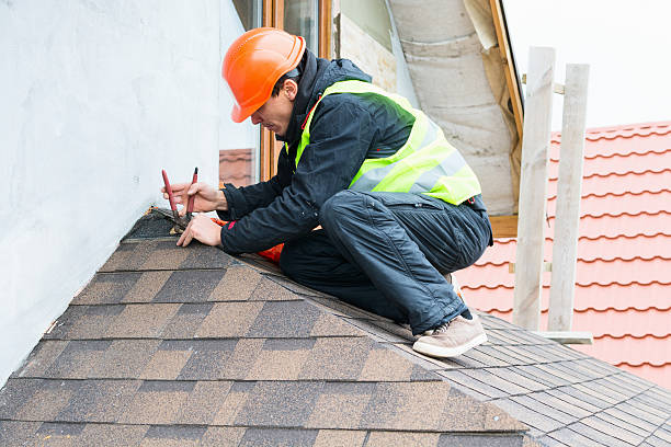 Best New Roof Installation  in Temperance, MI